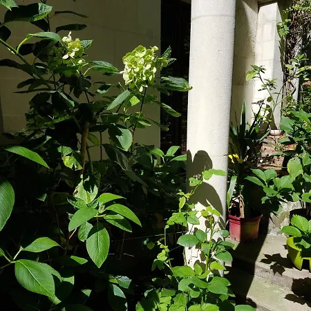 Maisonnette Atypique En Triplex Au Calme Hyper-centre Place Du Ralliement Διαμέρισμα *