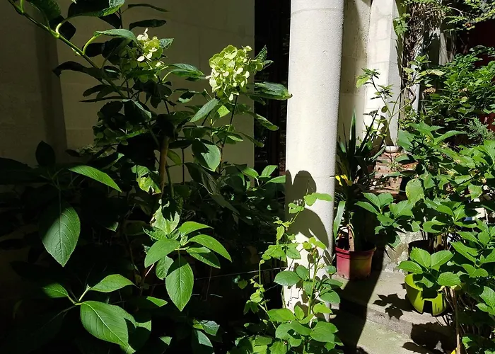 Maisonnette Atypique En Triplex Au Calme Hyper-centre Place Du Ralliement Apartamento *